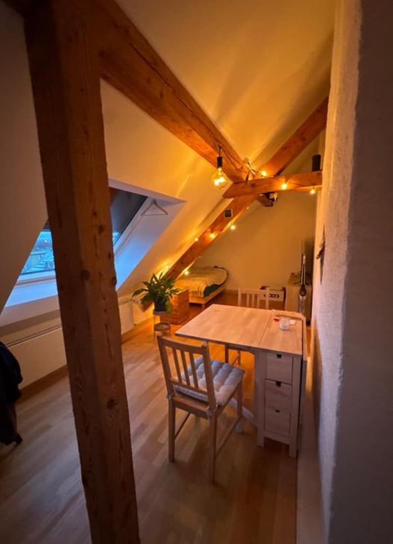 1.5 room apartment in Winterthur (9)