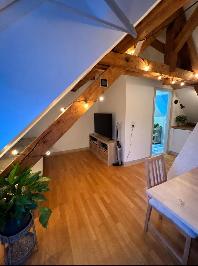 1.5 room apartment in Winterthur (8)