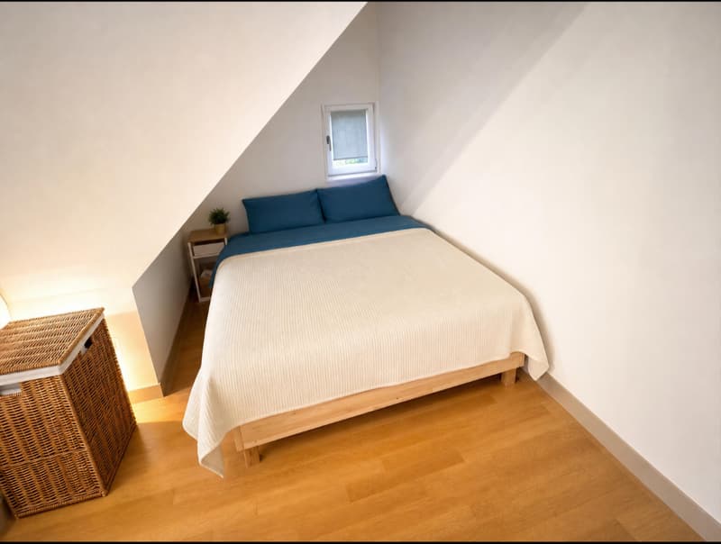 1.5 room apartment in Winterthur (7)