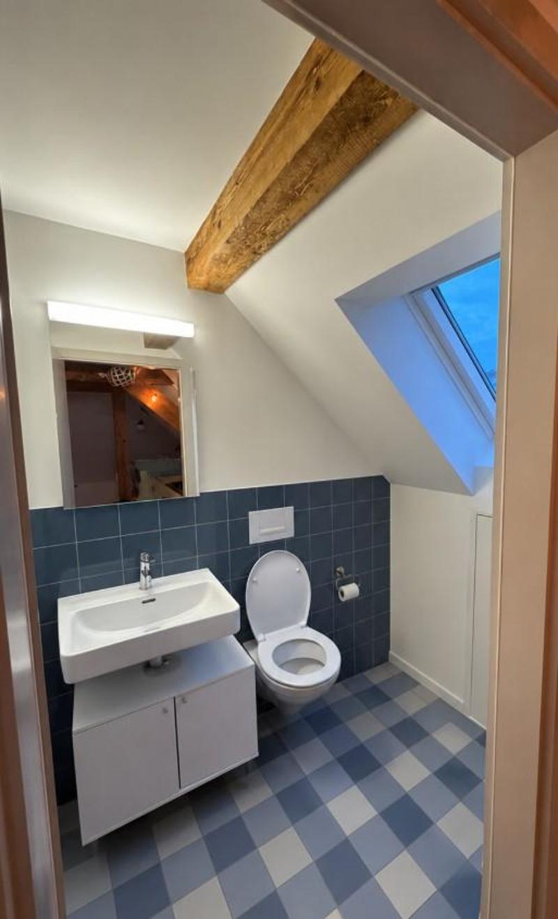 1.5 room apartment in Winterthur (5)