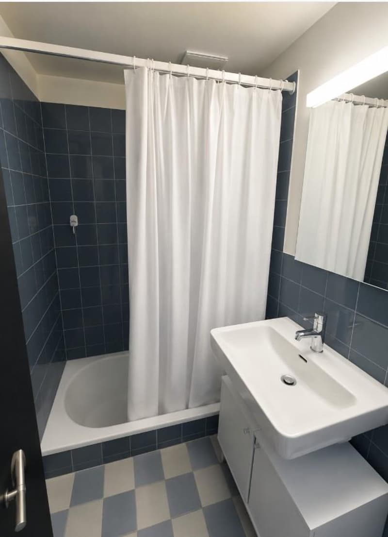 1.5 room apartment in Winterthur (6)