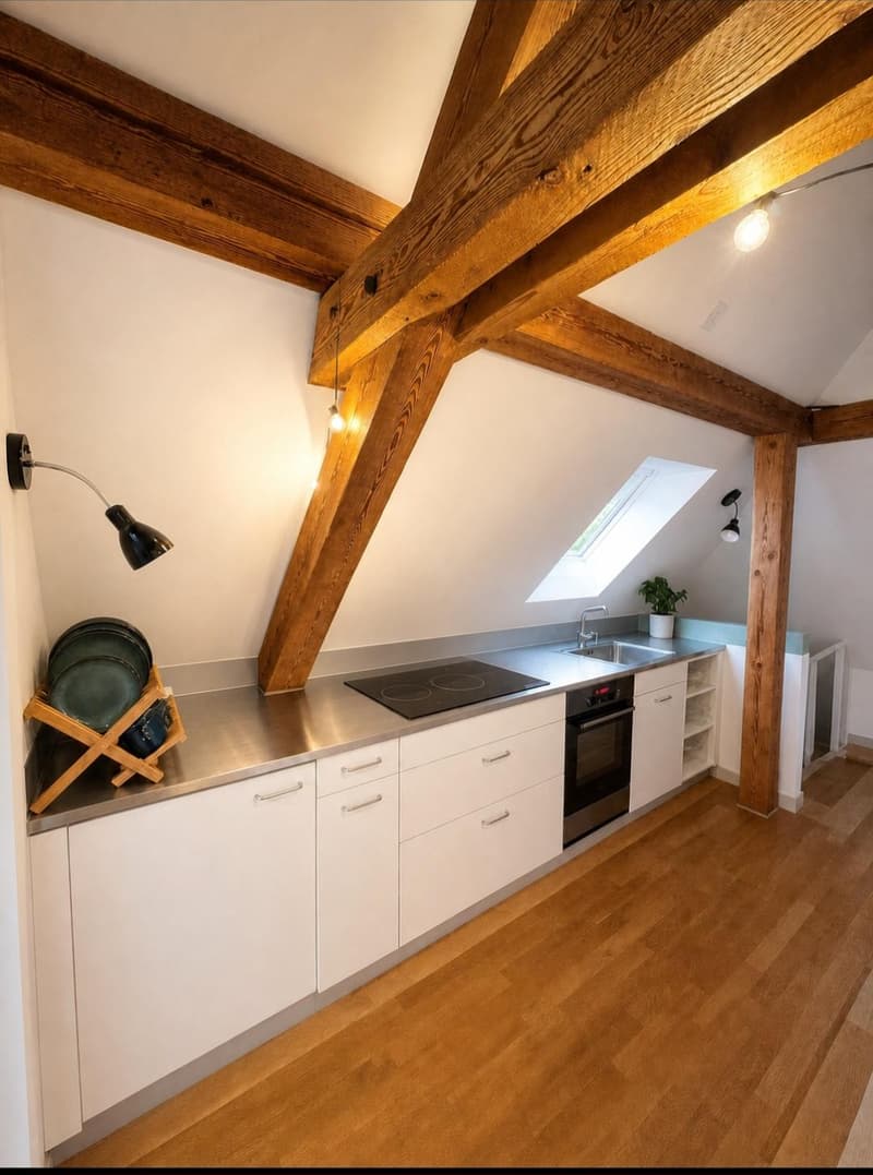 1.5 room apartment in Winterthur (3)