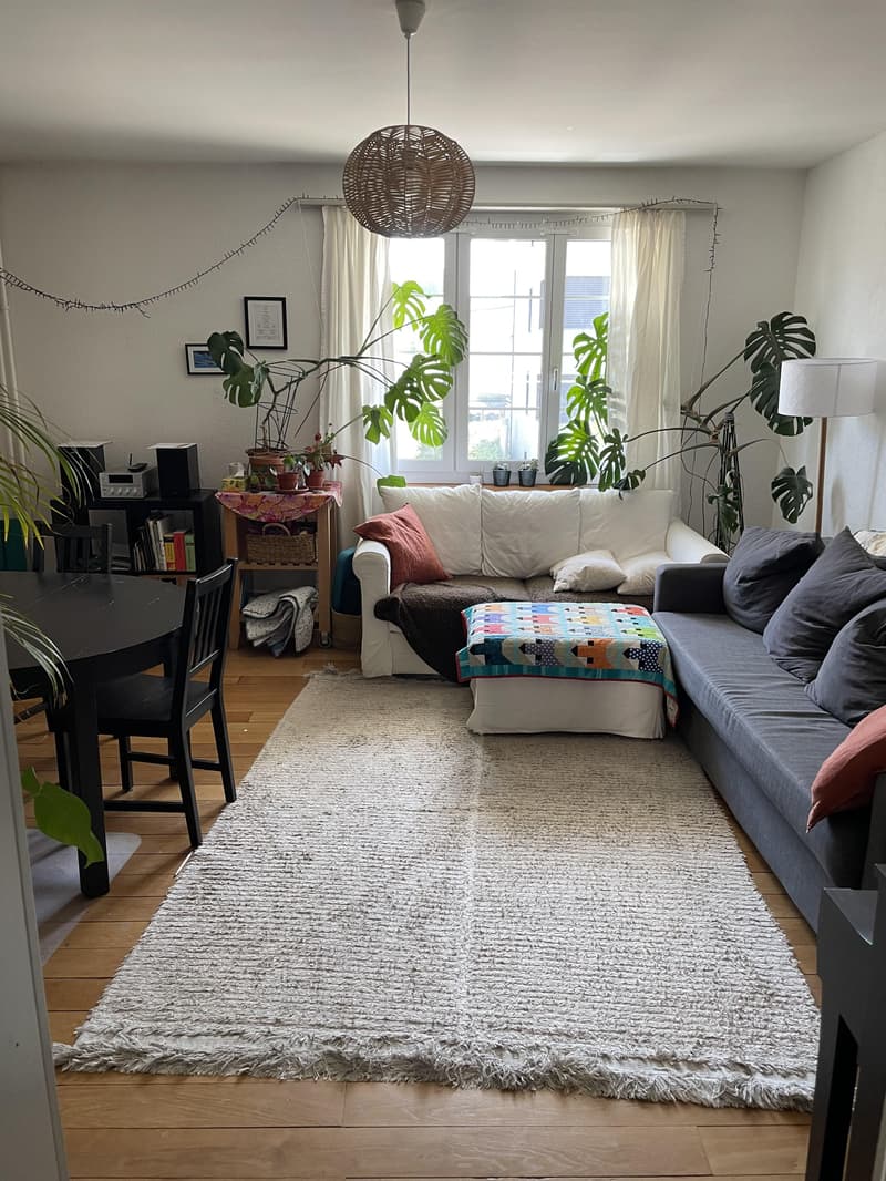 4.0 bedroom apartment in Zurich (4)