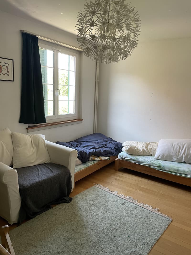 4.0 bedroom apartment in Zurich (3)