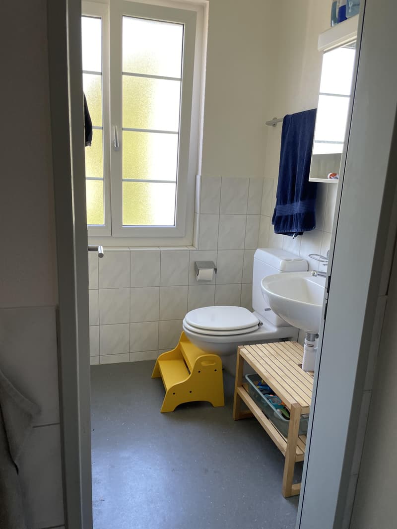 4.0 bedroom apartment in Zurich (5)