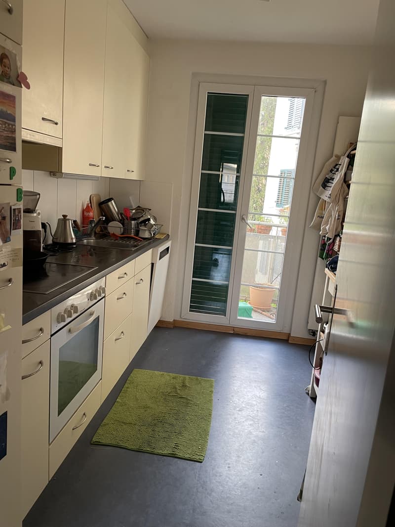 4.0 bedroom apartment in Zurich (1)