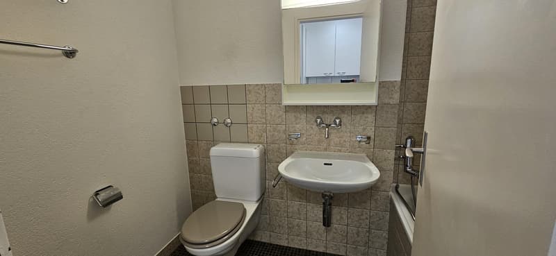 1.5 room apartment in Kloten (6)