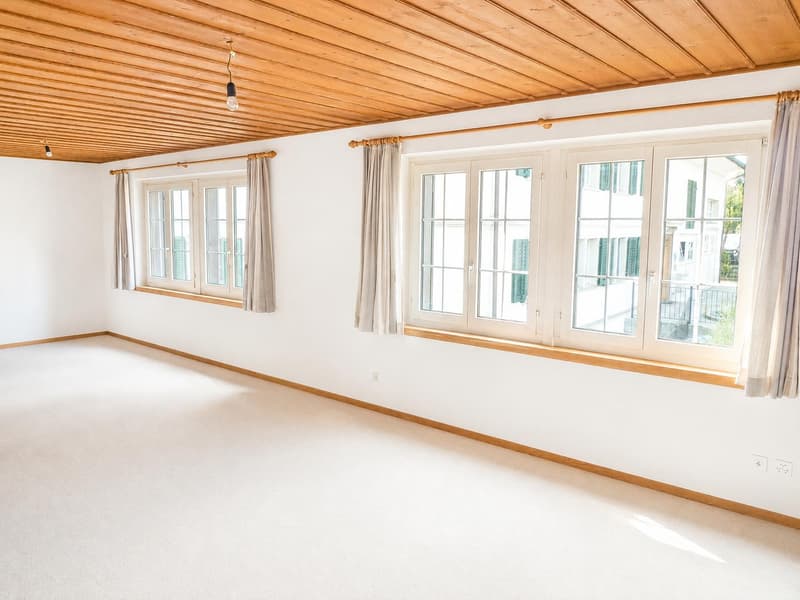 Traumhafte 6.5-Zimmerwohnung mit Cheminée und idyllischem Garten (9)
