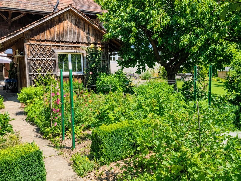Traumhafte 6.5-Zimmerwohnung mit Cheminée und idyllischem Garten (13)