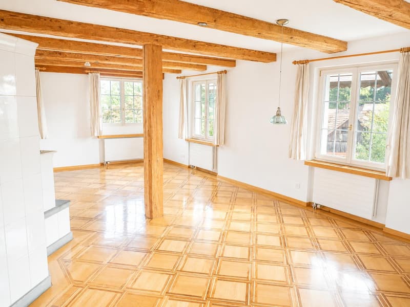 Traumhafte 6.5-Zimmerwohnung mit Cheminée und idyllischem Garten (6)