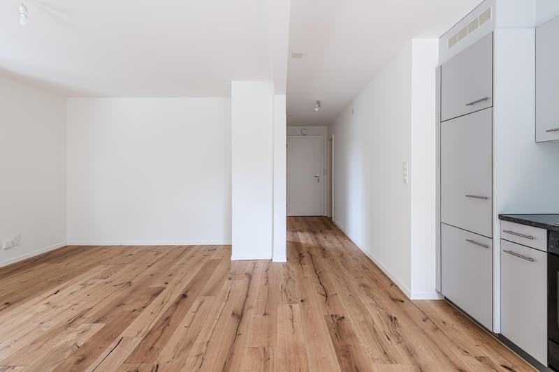 2.0 camere da letto appartamento a Winterthur (8)