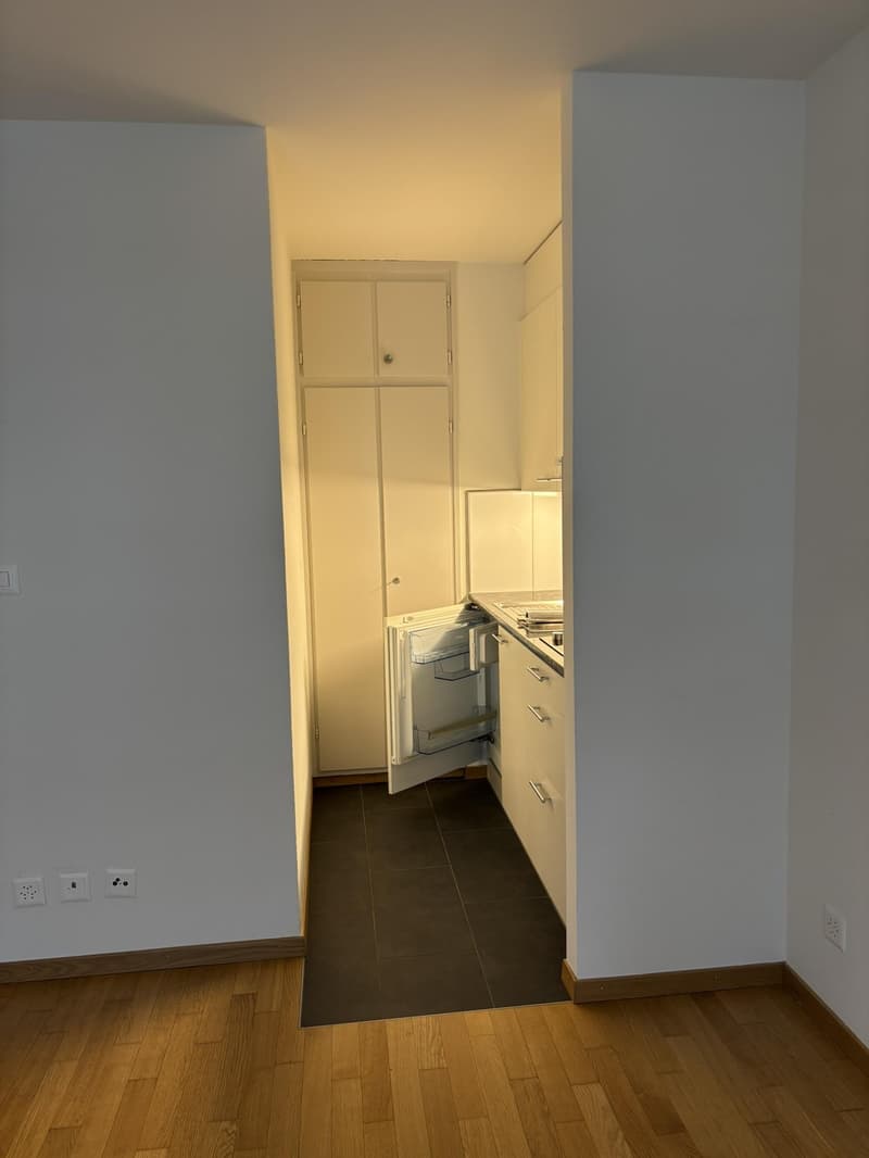Appartamento monostanza a Winterthur (3)