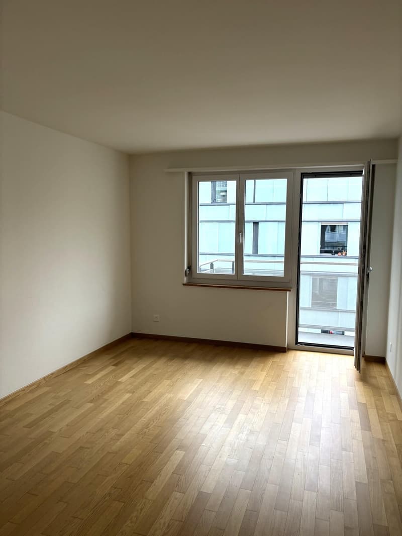 Appartamento monostanza a Winterthur (1)