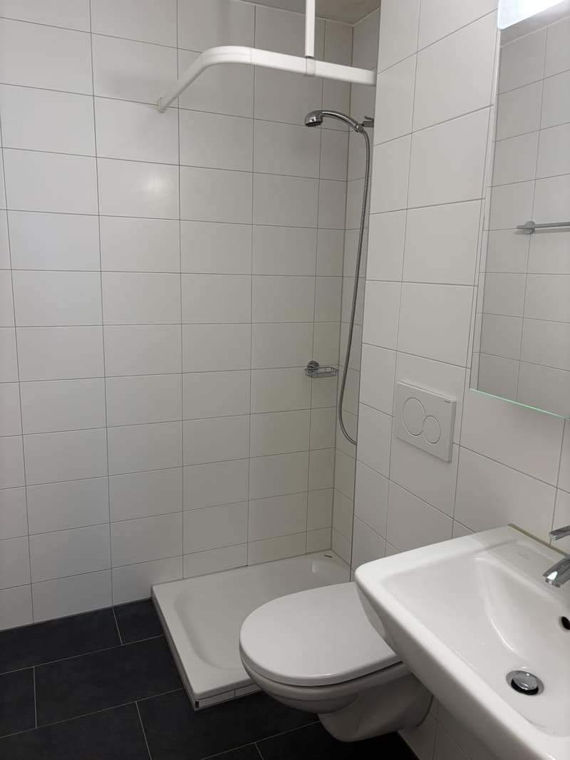 Appartamento monostanza a Winterthur (5)