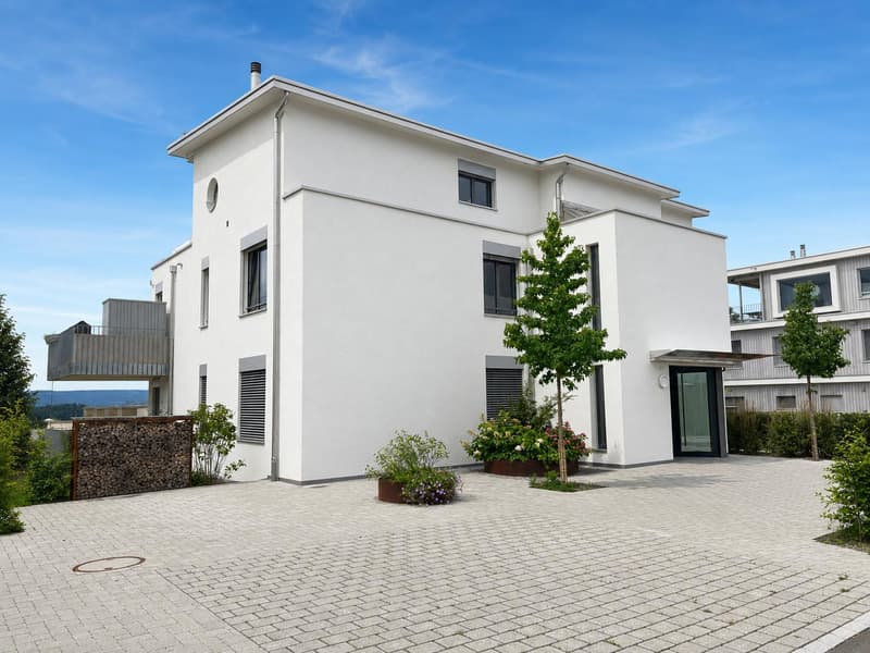 Einzigartige 3.5-Zimmer-Attika-Maisonette-Wohnung mit Weitsicht auf See und Berge (1)