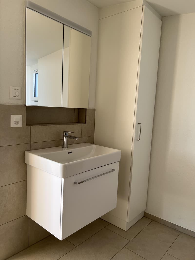 Einzigartige 3.5-Zimmer-Attika-Maisonette-Wohnung mit Weitsicht auf See und Berge (6)