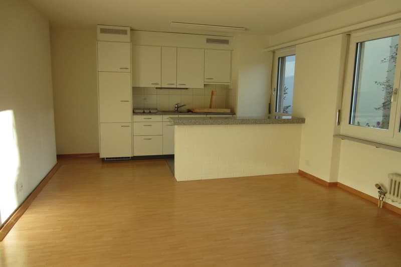 1.0 Zimmerwohnung in Winterthur (4)