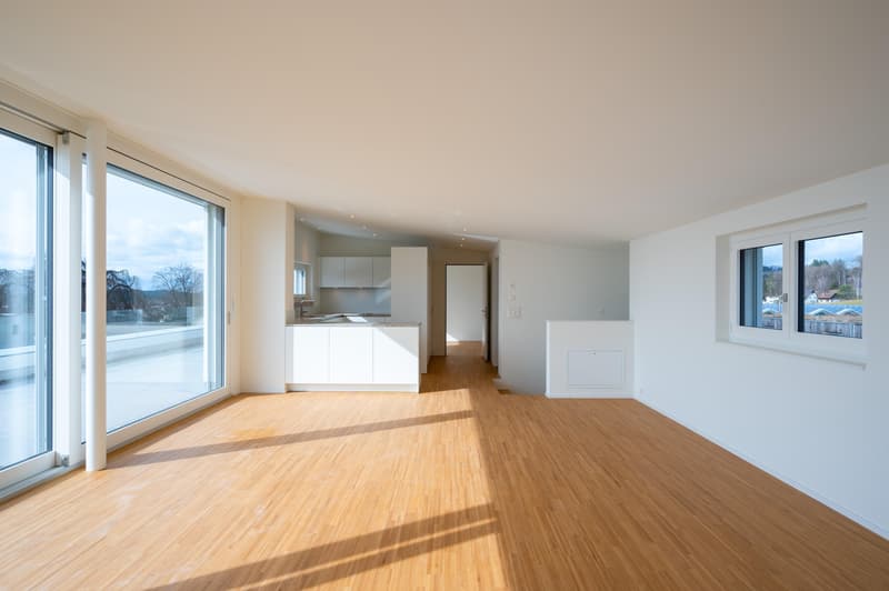 Einzigartige 3.5-Zimmer-Attika-Maisonette-Wohnung mit Weitsicht auf See und Berge (8)