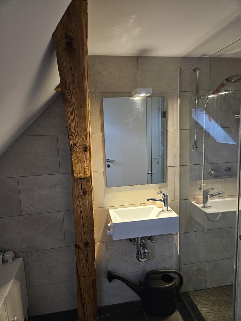 charmante 3.5 Zimmer-Maisonettewohnung in Zürich (5)
