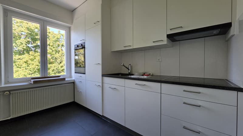 3.5 Zimmerwohnung in Zürich (3)