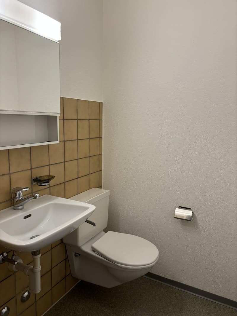 4.5 Zimmerwohnung in Fahrweid (9)