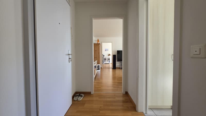 3.0 Zimmerwohnung in Winterthur (4)