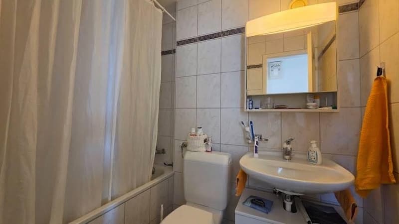 3.0 Zimmerwohnung in Winterthur (5)