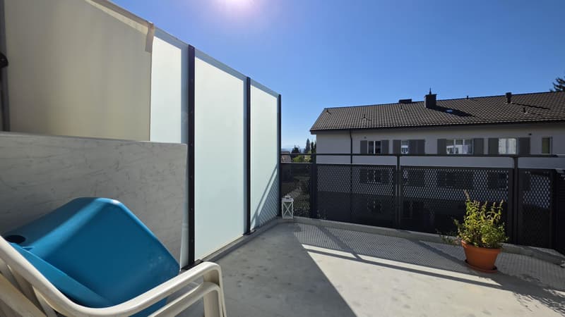 3.0 Zimmerwohnung in Winterthur (9)