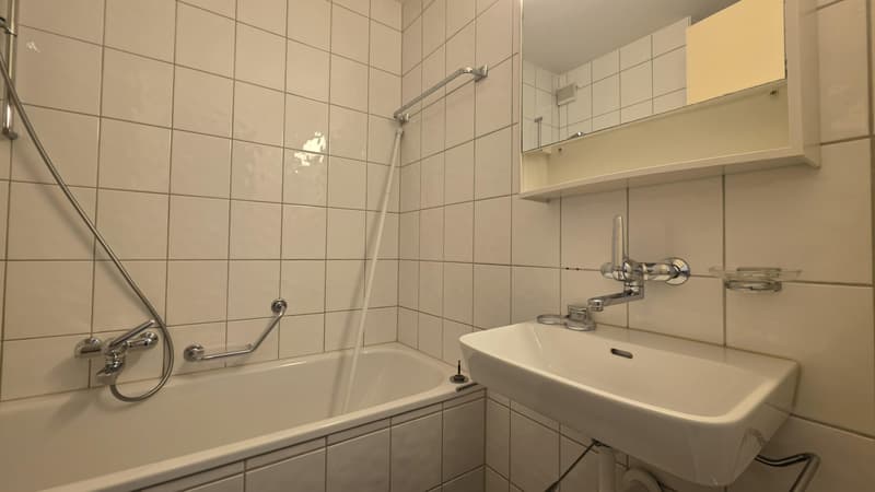 1.0 Zimmerwohnung in Winterthur (5)