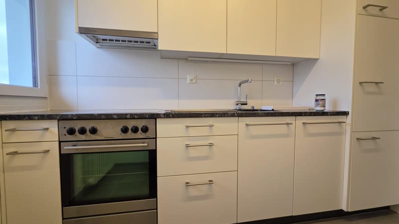 2.0 Zimmerwohnung in Winterthur (4)