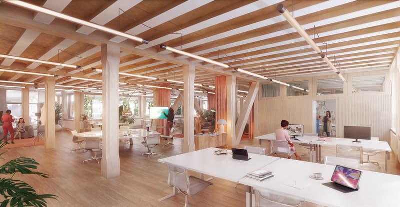 HORTUS – The healthy and new workplace: size XL (2)