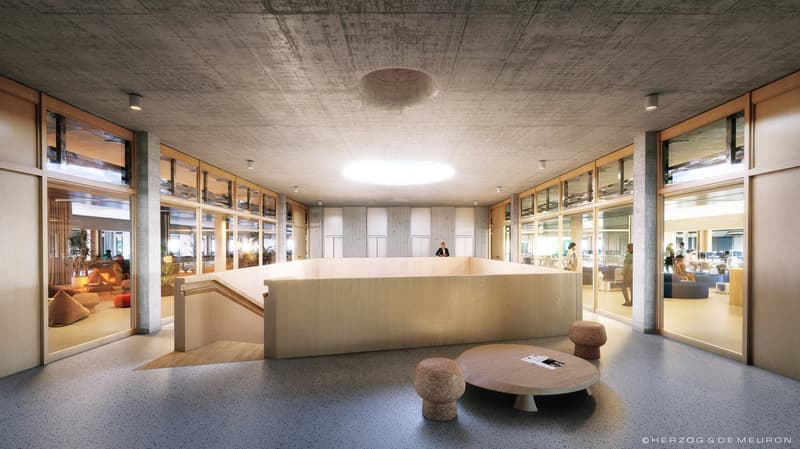 1'450 m² vetrina al piano terra: showroom, caffè o studio nel Main Campus, Basilea (9)