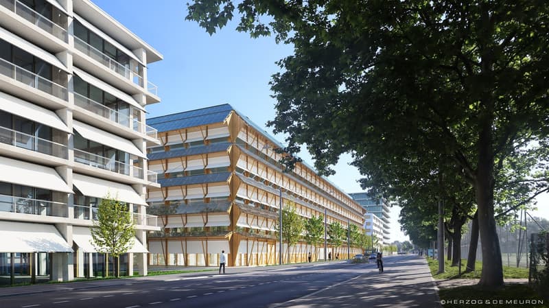 1'450 m² vetrina al piano terra: showroom, caffè o studio nel Main Campus, Basilea (8)