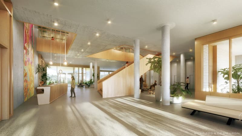 1'450 m² vetrina al piano terra: showroom, caffè o studio nel Main Campus, Basilea (4)