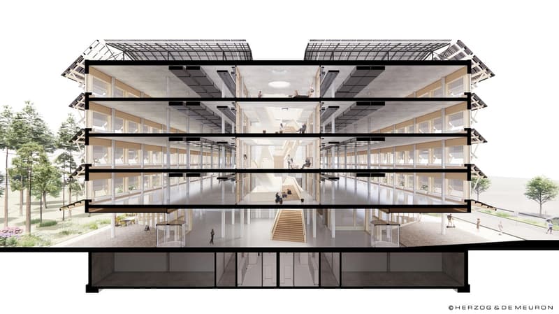 1'450 m² vetrina al piano terra: showroom, caffè o studio nel Main Campus, Basilea (10)