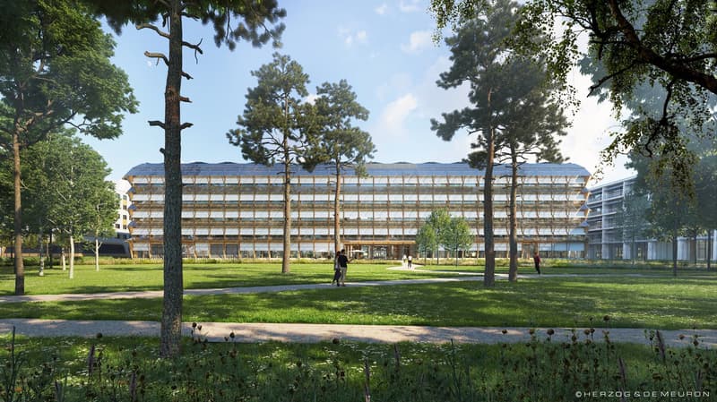 Sette ragioni. Un indirizzo. (10)
