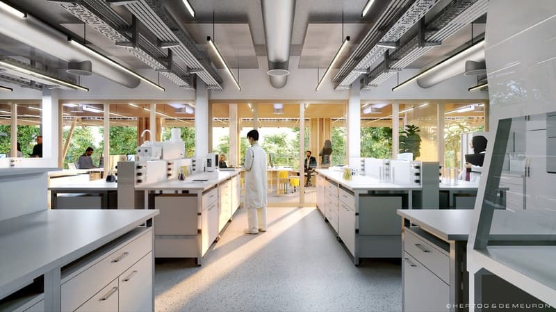 Prima indirizzo commerciale. Campus principale, Basilea. (10)