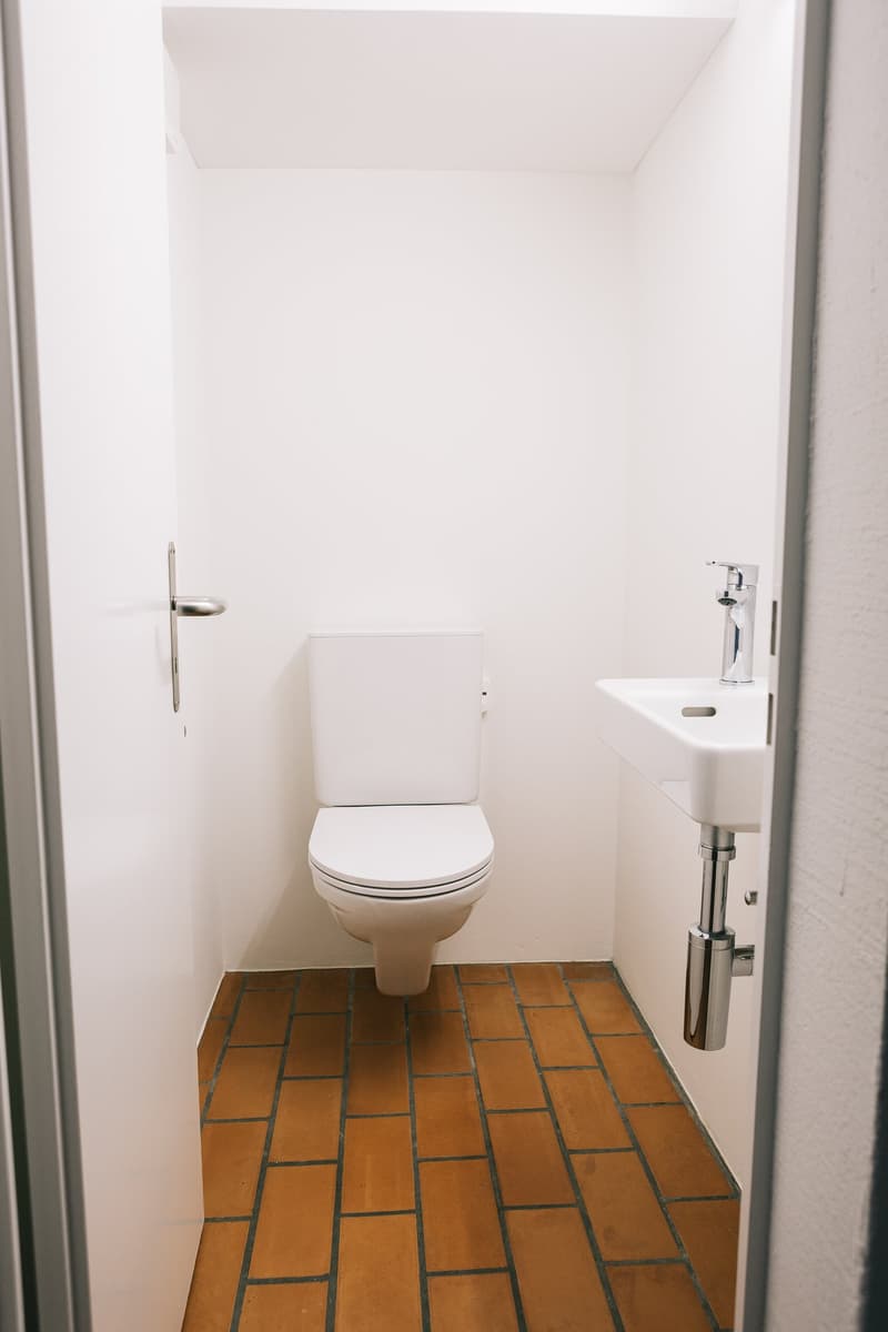 Gäste WC neben Wohnzimmer