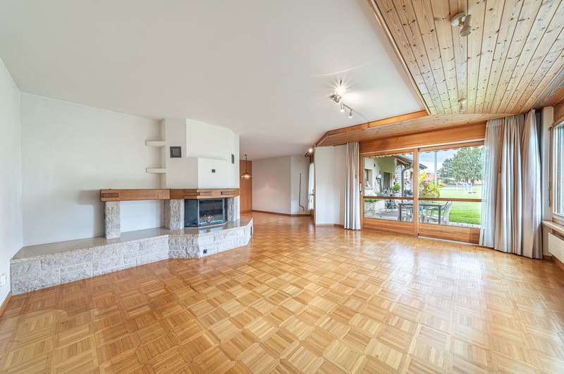 hardwood floor, fireplace, sliding doors, glass walls, ceiling light, ceiling lamps, radiator