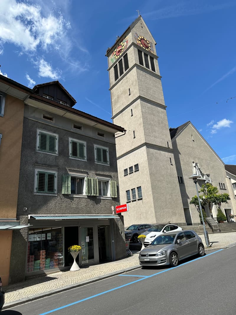 3-Fam-Haus mit Ladenlokal , Magazin, Parkplätzen (3)