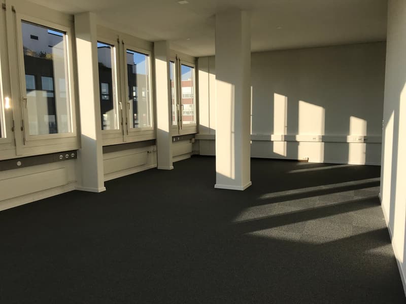 Empty room with white walls, black floor, large windows, pillars