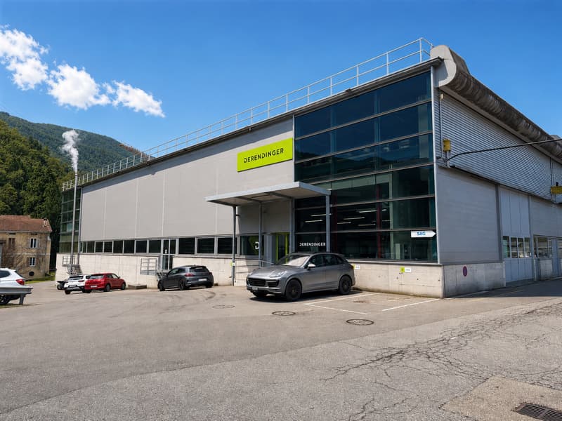 Ampia superficie commerciale e logistica in posizione strategica a Barbengo (1)