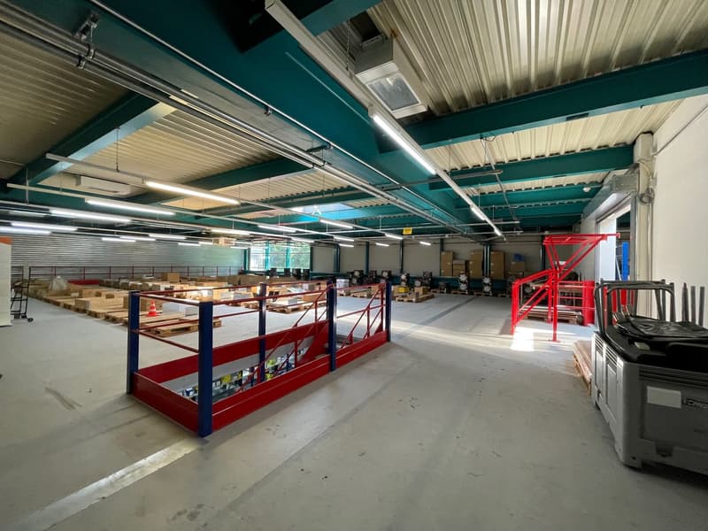 Ampia superficie commerciale e logistica in posizione strategica a Barbengo (8)