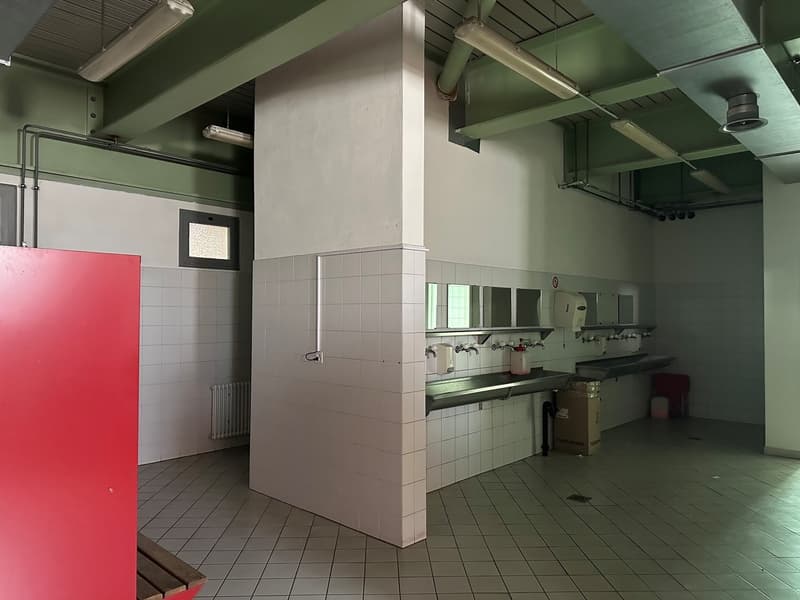 Ampia superficie commerciale e logistica in posizione strategica a Barbengo (12)