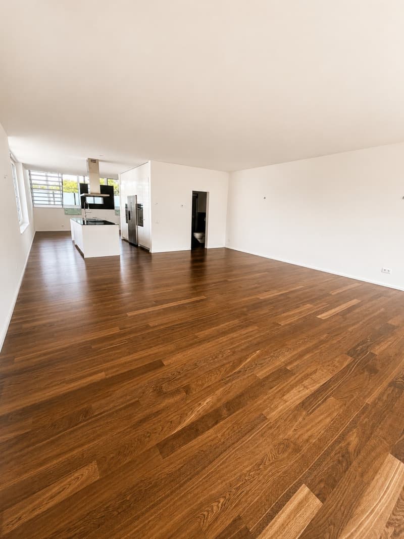 Habitation de rêve avec aménagement luxueux ! 1 grande chambre à coucher à l'étage supérieur, le reste conçu de manière ouverte (2)