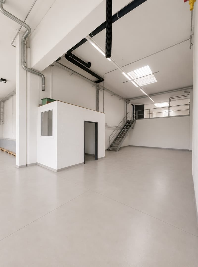 Lager-/Produktionsfläche mit Lagerbühne & grossem Tor an zentraler Lage (2)