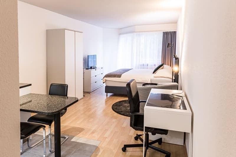 Cozy Zurich Studio – Ideal for Expats, Projects & Small Households (5)