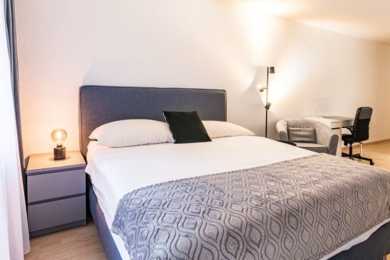 Cozy Zurich Studio – Ideal for Expats, Projects & Small Households (4)