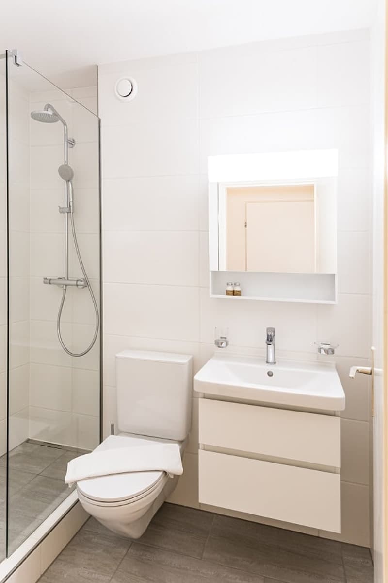 Cozy Zurich Studio – Ideal for Expats, Projects & Small Households (6)