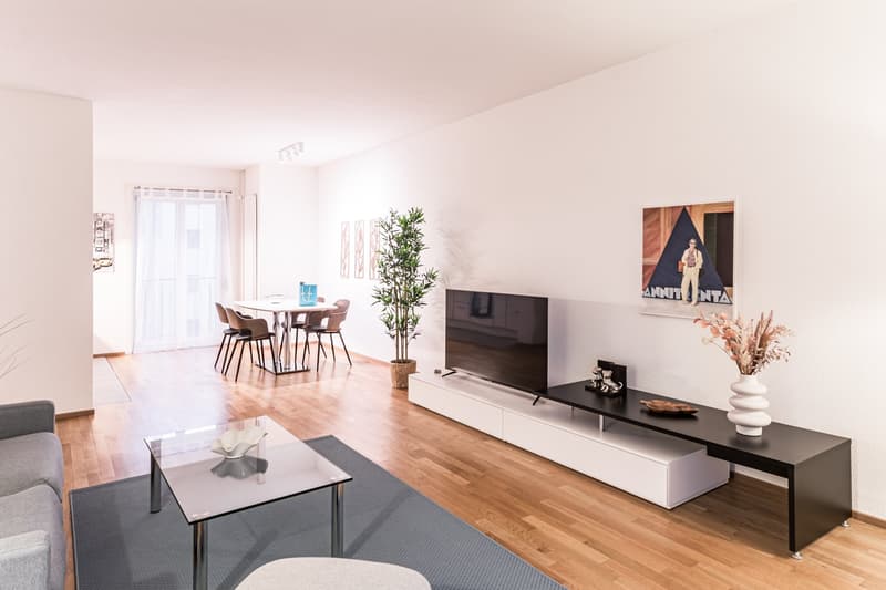 living room with sofa, coffee table, TV stand, dining table, dining chairs, painting on the wall, window with curtain, wooden floor, houseplant, floor lamp